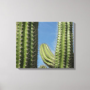 Toile Barrel Cactus I Desert Photo