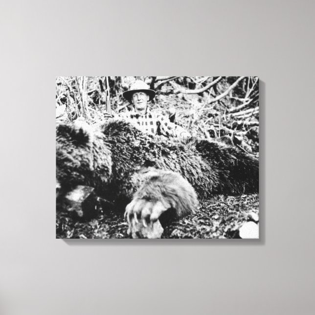 Toile Barr's Bear de plus de 10 pieds de long, Alaska (Recto)