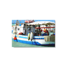 Bateau de pêche sur la côte toscane, peinture.