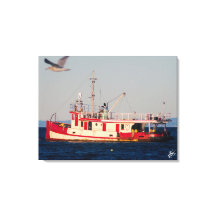 Bateau remorqueur sur Mutiny Bay avec un oiseau