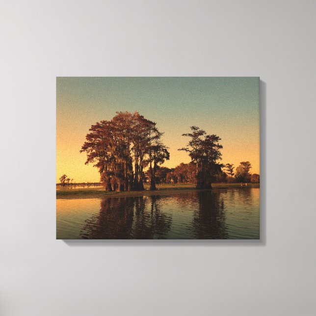 Toile Bayou de Louisiane et cyprès (Recto)