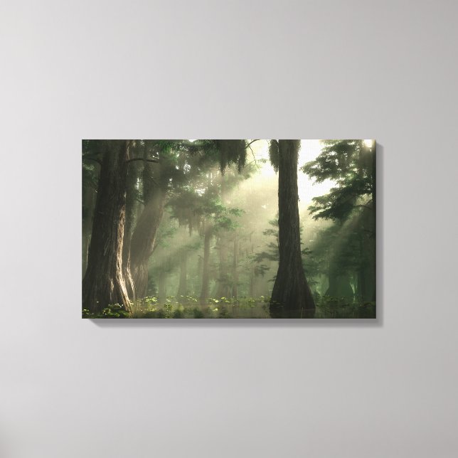 Toile Bayou été (Recto)