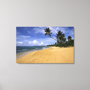 Toile Beach Porto Rico