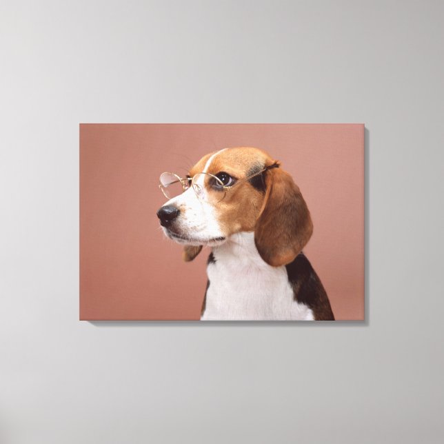 Toile Beagle (Recto)