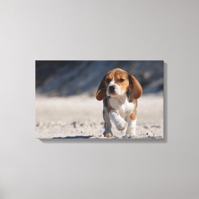 Toile Beagle d'été (Recto)