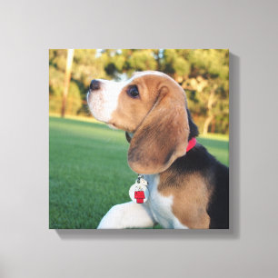 Toile Beagle Snoopy