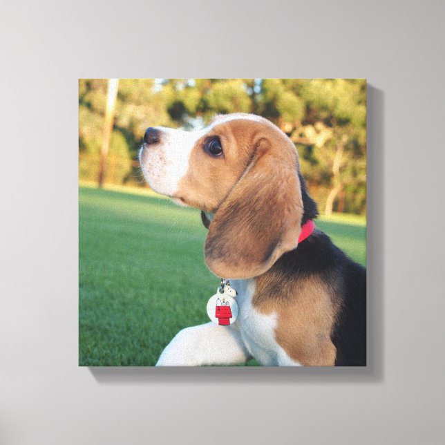 Toile Beagle Snoopy (Recto)