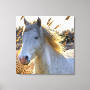 Toile Beau Cheval