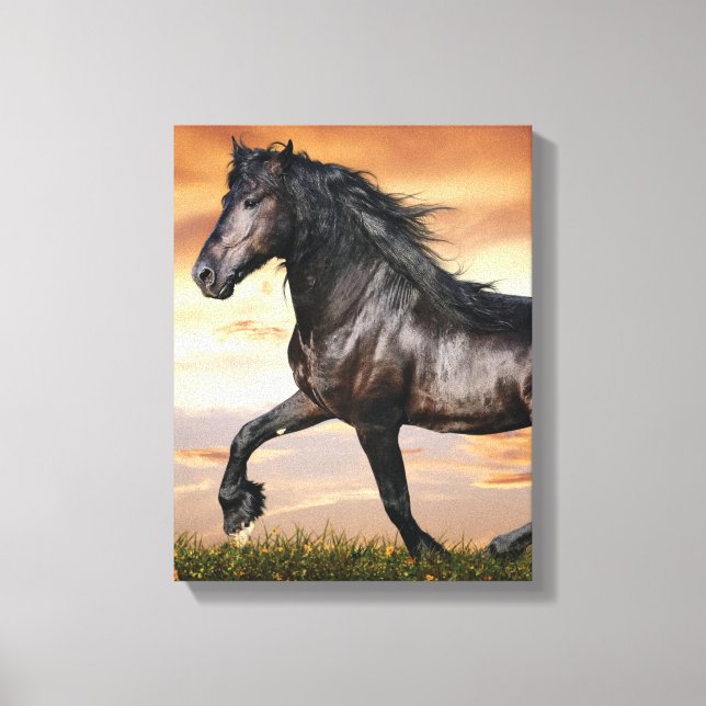 Toile Beau Cheval Noir (Recto)