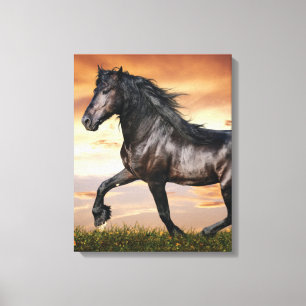Toile Beau Cheval Noir
