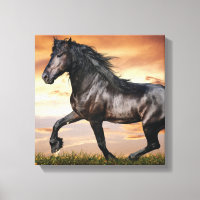 Beau Cheval Noir