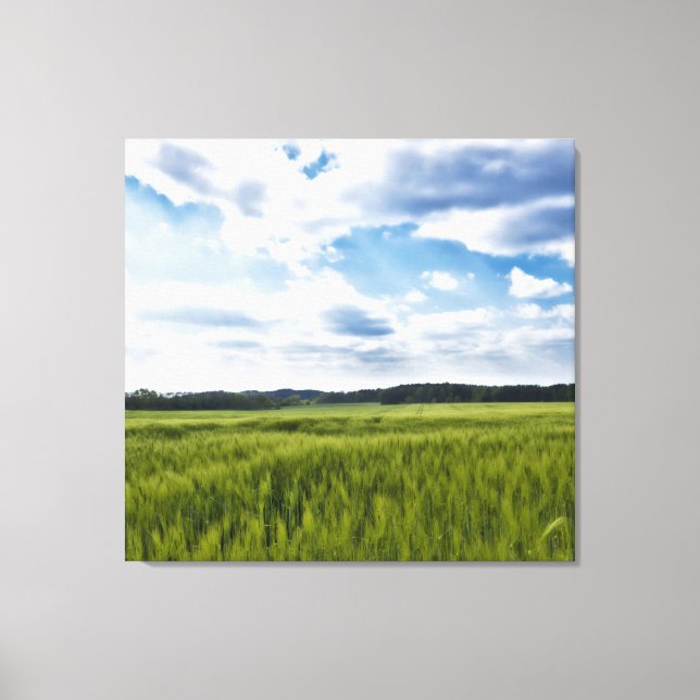 Toile Beau Cornfields (Recto)
