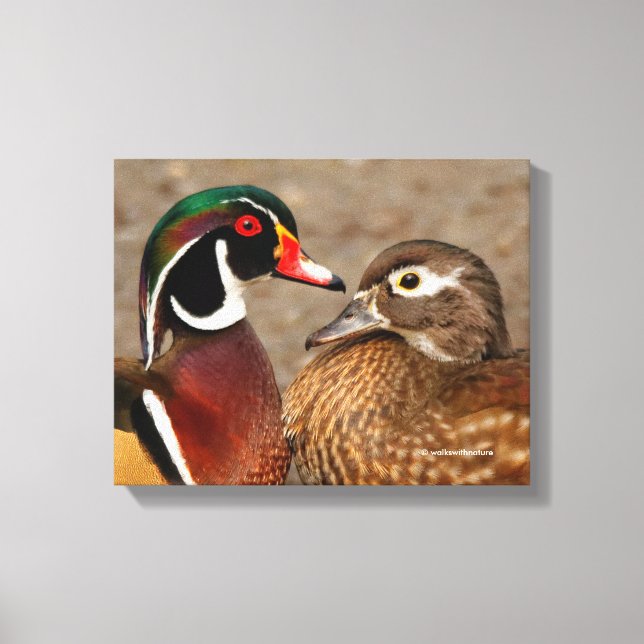 Toile Beau moment de contact entre des canards en bois (Recto)