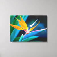 Beau Oiseau Unique de Canvas Paradise