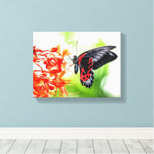 Toile Beau Papillon noir et rouge Insectes Nature