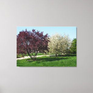 Toile Beau paysage et arbres