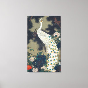Toile Beau Peacock Blanc Japonais