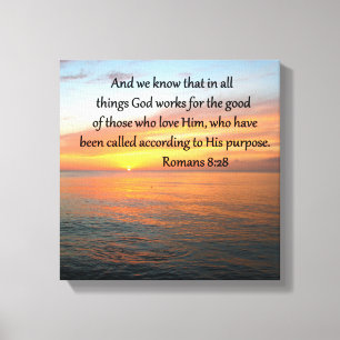 TOILE BEAU ROMAINS 8:28 SLELES PHOTO