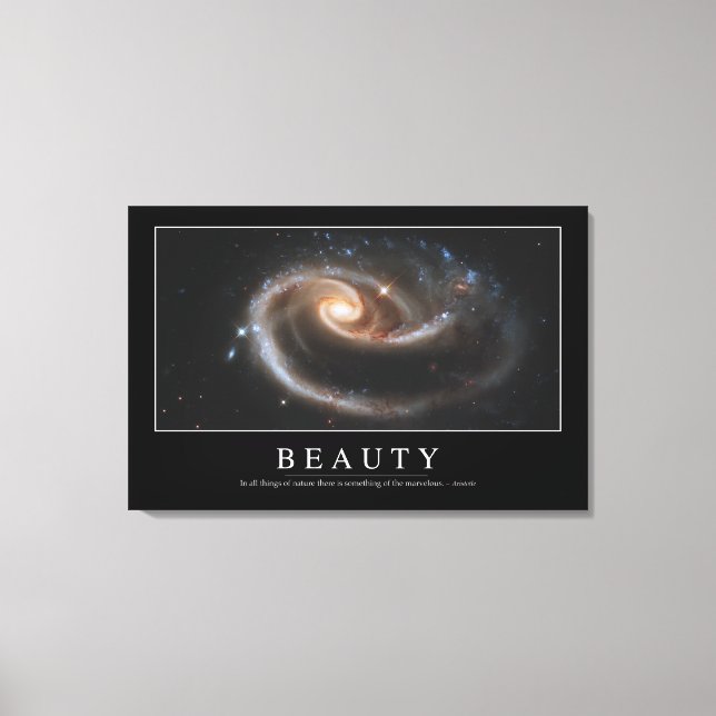 Toile Beauté : Citation inspirante 3 (Recto)