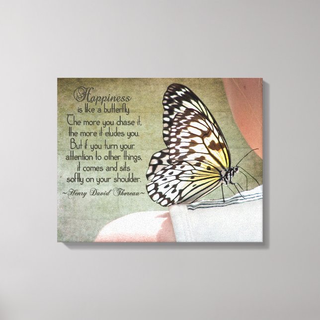 Toile Beauté des papillons (Recto)