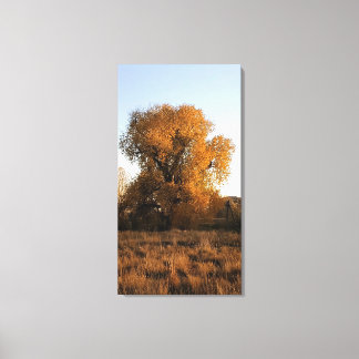Toile Beauté du Colorado