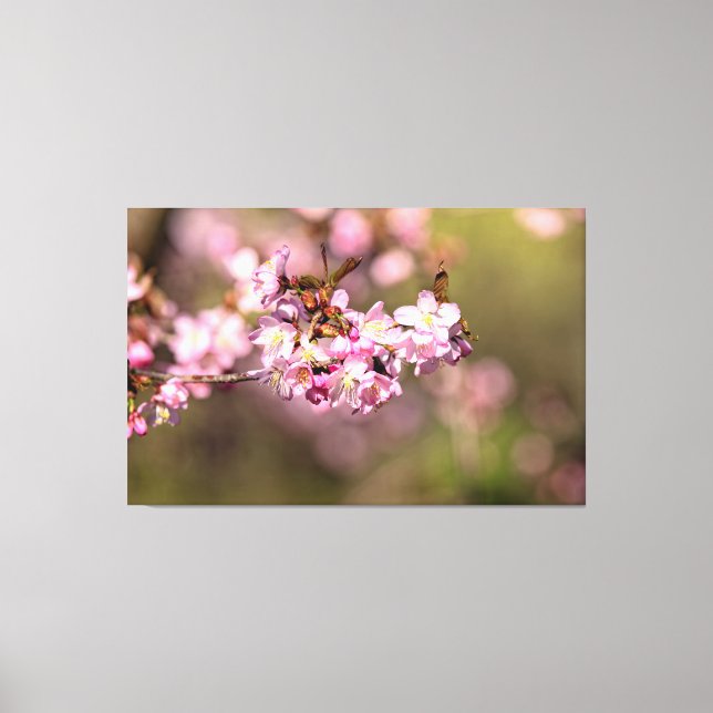 Toile Beauté sans fin des fleurs de cerisier Sakura (Recto)