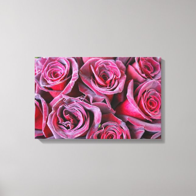 Toile Beauté Velvet (Recto)