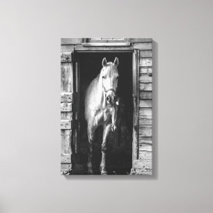 Toile Beaux chevaux Animaux de ferme B&W