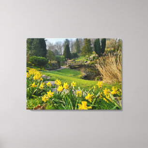 Toile Beaux jonquilles de printemps