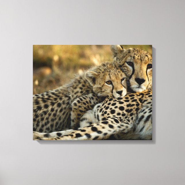 Toile Bébé guépard câlinant sa mère (Recto)
