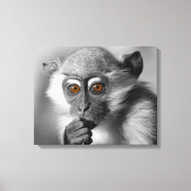 Toile Bébé Mangabey (Recto)