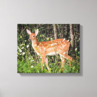 Bébé mignon Animaux Fawn Deer Canvas Imprimer