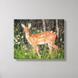 Toile Bébé mignon Animaux Fawn Deer Canvas Imprimer