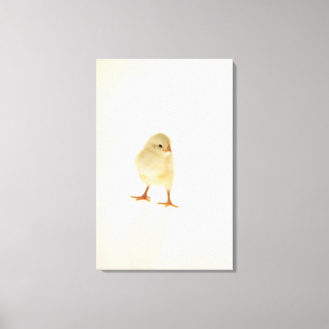 Toile Bébé poulet (Recto)