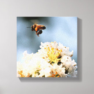Toile Bee Floral  Canvas Print
