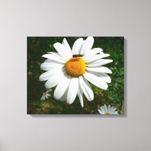 Toile Bee on Daisy Alaskan Summer Nature