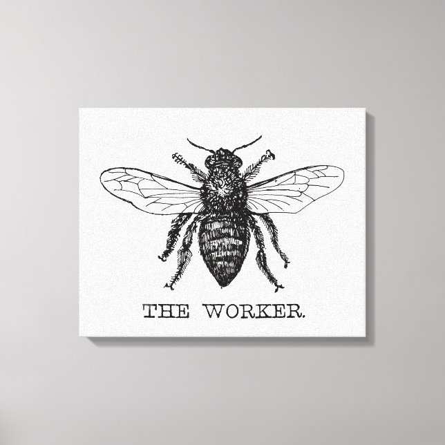 Toile Bee Worker Honey Black Bumblebee (Recto)