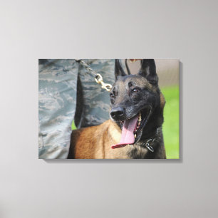 Toile Belge de sourire Malinois