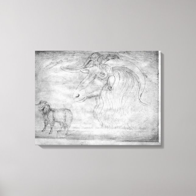 Toile Bélier et tête de bélier (Recto)