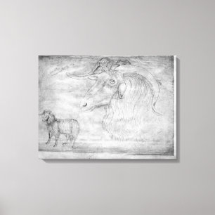 Toile Bélier et tête de bélier