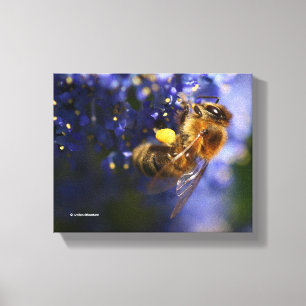 Toile Belle abeille de miel sur la Californie Lilac