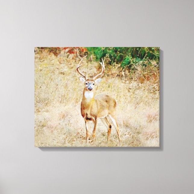Toile Belle Art Photographique Wild Deer Buck (Recto)