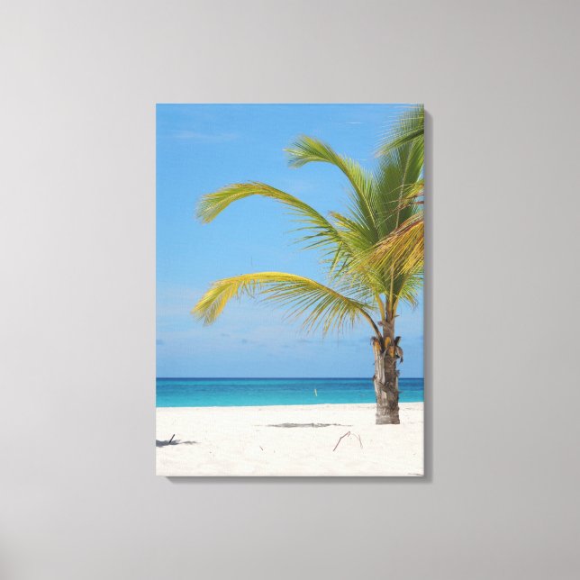 Toile Belle Aruba (Recto)