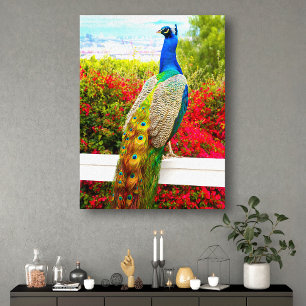 Toile Belle Bleu Vert Peacock Photo Moderne Design