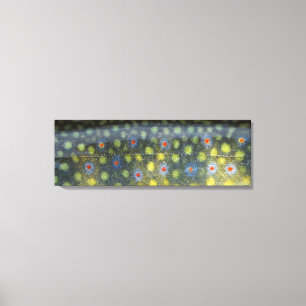 Toile Belle peau, fleuve Jourdain Brookie "