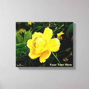 Toile Belle Rose Jaune