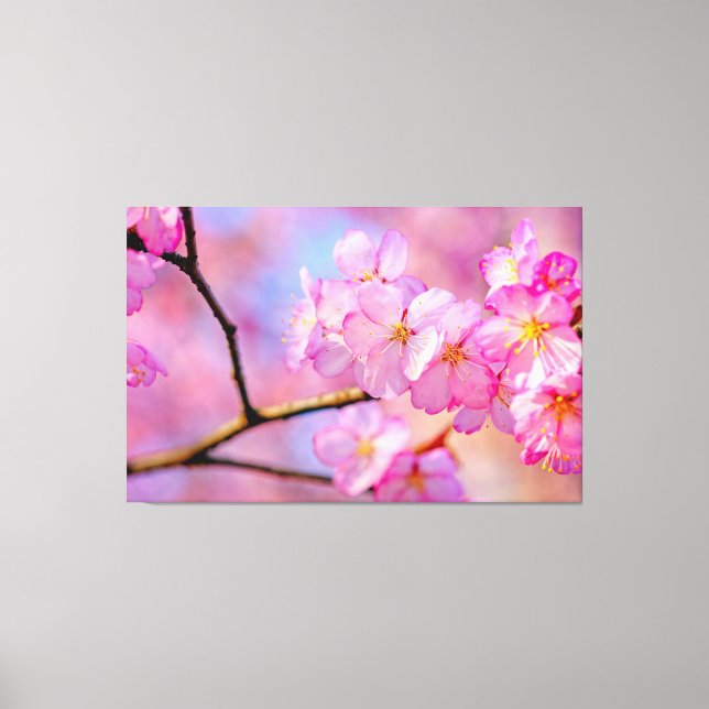 Toile Belle Sakura Rose Fleurs Au Printemps (Recto)