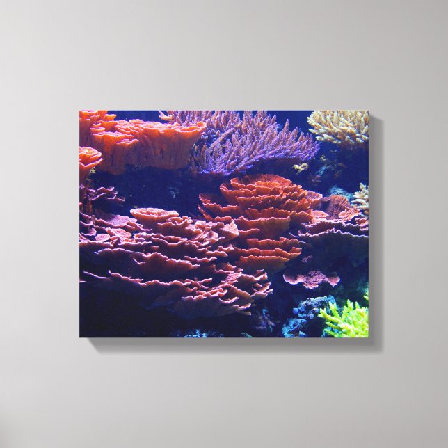 Toile belle scène sous-marine, vie sous la mer (Recto)