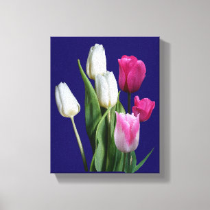 Toile Belle tulipes blanches roses et élégantes bleu flo