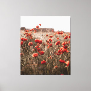 Toile belles fleurs de coquelicot